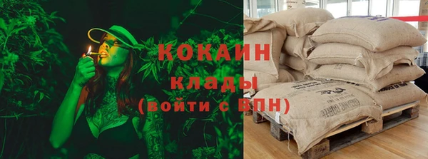молекула духа Новый Уренгой