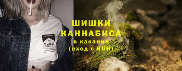 МДПВ Мегион