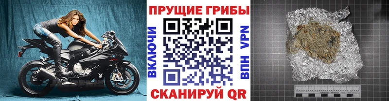 Галлюциногенные грибы прущие грибы  Короча 